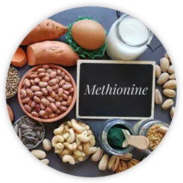 Methionine