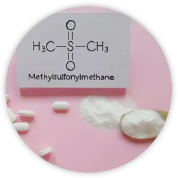 Methylsulfonylmethane (MSM)